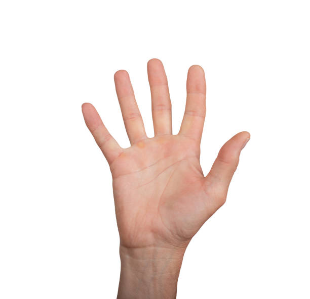 istock Open palm hand waving hello or goodbye, isolated on white background. Male hand showing gesture of 2156774176