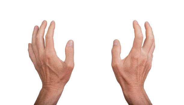 Two hands grasping, isolated on white background. Gesture indicating grabbing or catching something, Two hands grasping, isolated on white background. Gesture indicating grabbing or catching something, ideal for interaction and communication concepts. Close up view showing detail. left handed catcher stock pictures, royalty-free photos & images