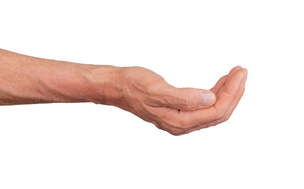 istock Hand in a cupped shape, isolated on white background. Gesture indicating offering or begging, ideal 2156774194