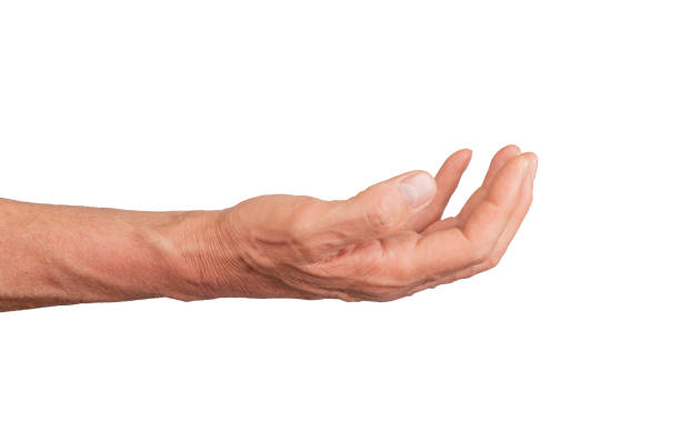 istock Open palm hand in a cup shape, isolated on white background. Gesture indicating offering or 2156774195