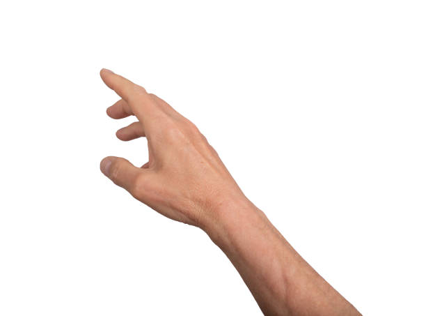 istock Hand reaching out with open fingers, isolated on white background. Gesture indicating grasping or 2156774197