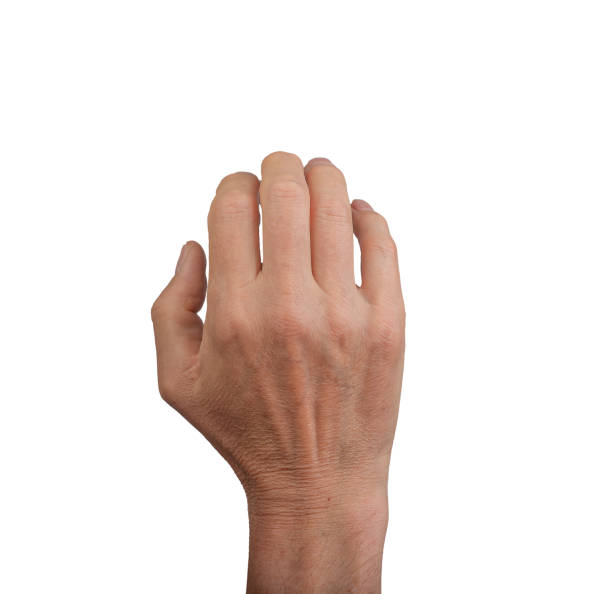 istock Hand with fingers bent like claws, showing a gripping gesture. Isolated on a white background, 2156774247