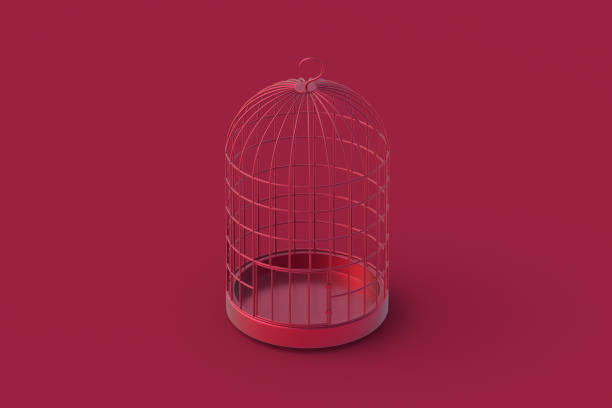 istock Cage for bird of magenta on red background. 3d render 2156777640