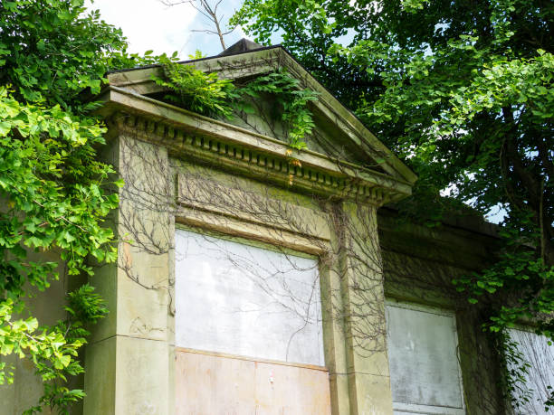 istock Abandoned building facade overgrown with vines and surrounded by lush greenery on a sunny day 2156778160