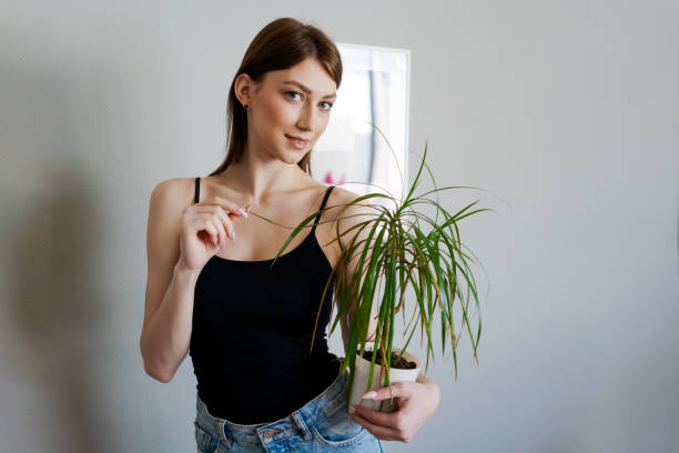 istock A woman is holding a plant in a white pot 2156779885