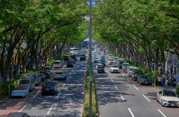 istock View of an office block with a summer boulevard. 2156784662