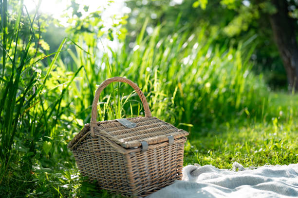 Wicker basket for summer picnic in the green