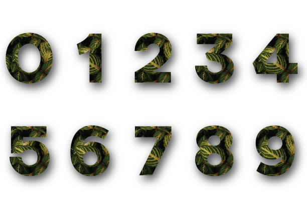 This design features numbers adorned with a leaf texture set against a pristine white background. Each numeral is intricately crafted, capturing the delicate patterns and vibrant shades of natural foliage. The leaf texture adds an organic and refreshing aesthetic, blending seamlessly with the simplicity of the white backdrop