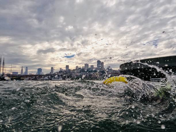 istock Swimming in San Francisco Bay 2156797548