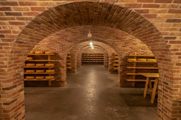 Vaulted cellar with round cheeses in a Dutch cheese and dairy farm.