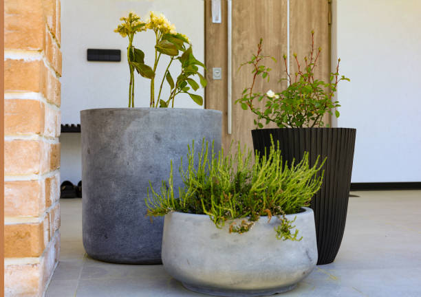 istock Landscape design of the local area 2156807054