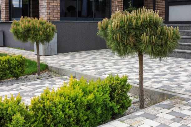 istock Landscape design of the local area 2156807490