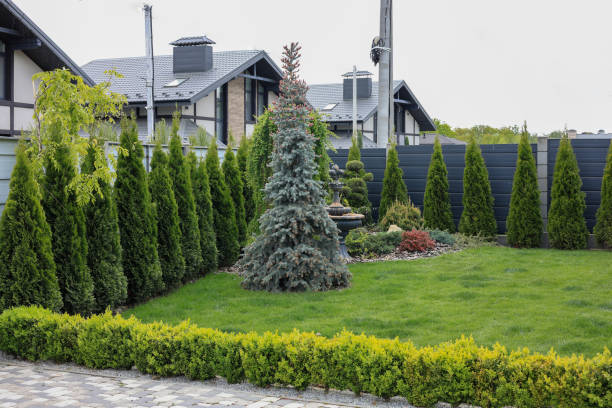 istock Landscape design of the local area 2156807493