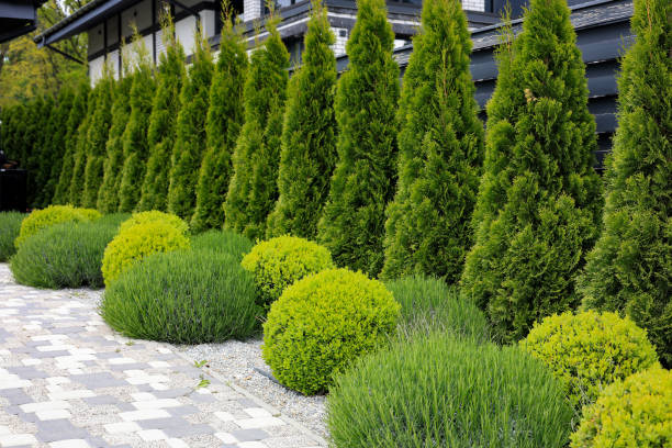 istock Landscape design of the local area 2156807500