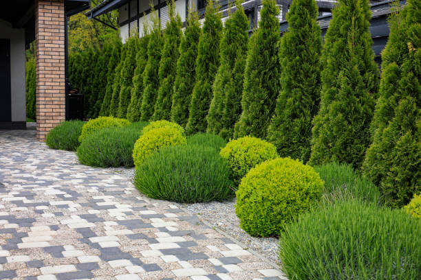 istock Landscape design of the local area 2156807503