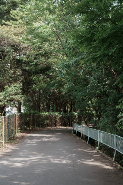 istock narrow country road 2156808296