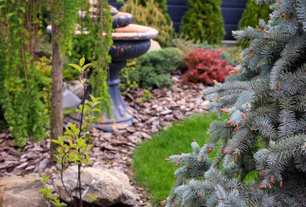 istock Landscape design of the local area 2156808382