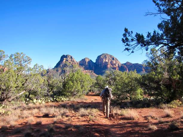 Steamboat Rock, Wilson Mountain, Maroon Mountain, and a number of unnamed cliffs, spires, windows and arches are visible from this spectacular trail in Coconino National Forest, Sedona.