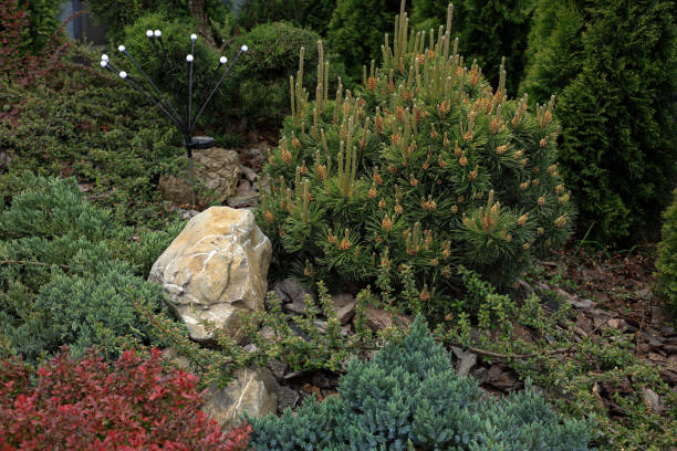 istock Landscape design of the local area 2156810078