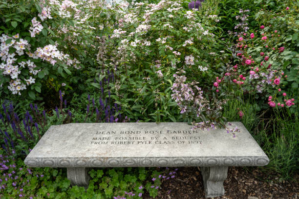 Swarthmore, USA - May 25, 2024. Stone chair in Rose garden in the campus of Swarthmore College, Swarthmore, Pennsylvania, USA