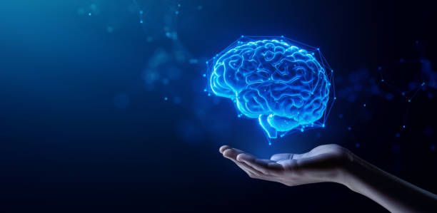 istock Hand Holding Human Brain - Futuristic Concept of Intelligence, science and mind 2156812228