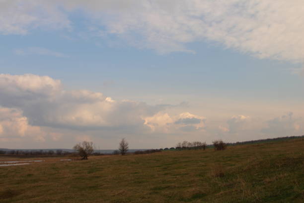 A grassy field with trees in the background. Sky. Grass. Outdoor. Field. Grassy