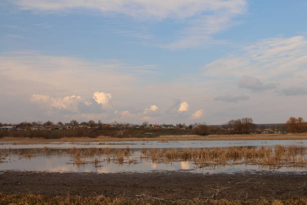 istock A body of water with grass and trees in the background 2156812708