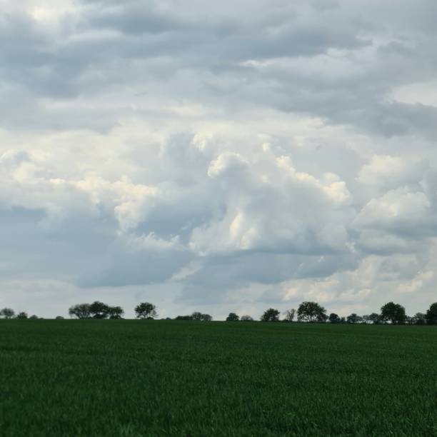 istock A field of grass 2156814141