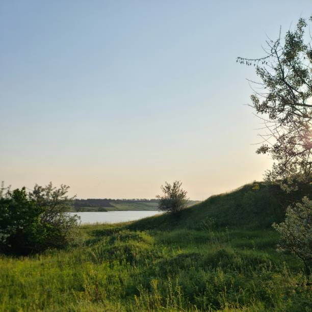A grassy area with trees and water in the background. Grass. Outdoor. Sky. Tree. Field