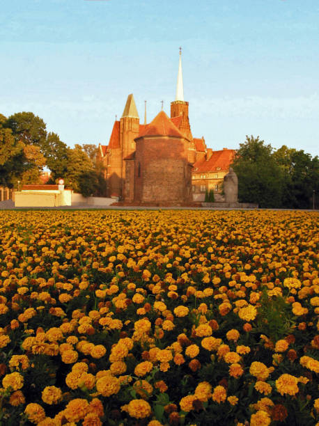 istock Roman Catholic Church of St. Martin 2156830779