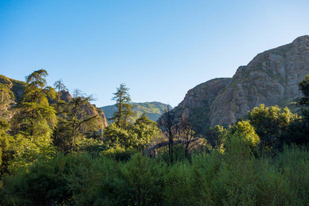 istock Malibu Creek State Park 2156832565