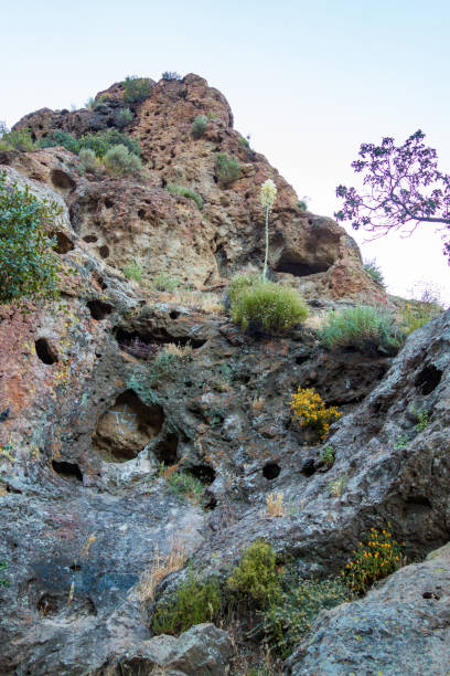 istock Malibu Creek State Park 2156832615