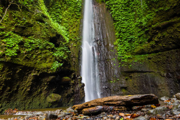 istock Waterfall in a tropical rainforest in Indonesia (Jeruk Manis, Lombok) 2156836701