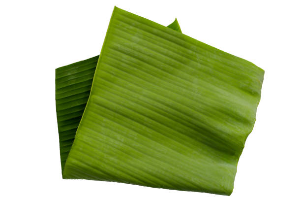 istock Green leaves of banana tree 2156839753