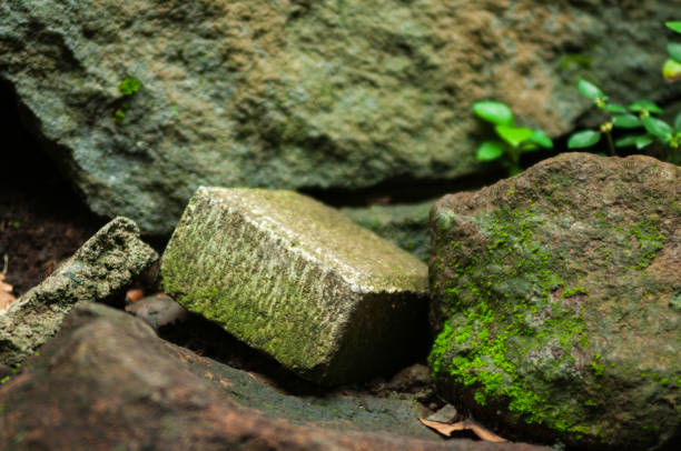 Macro Shoot of Concrete stone walk path. Shallow Depth of Field
