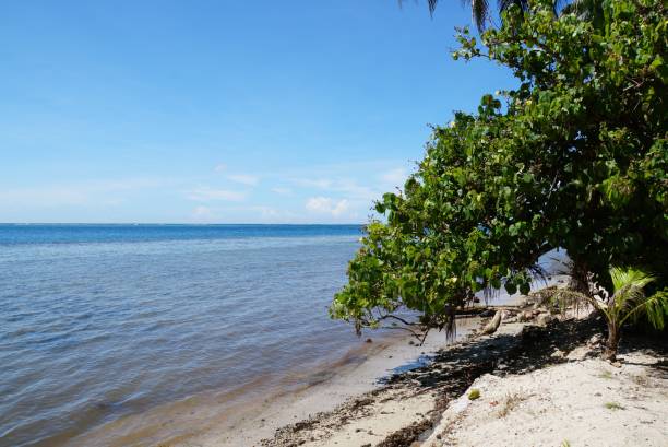 istock Landscape of Moorea Island 2156842594