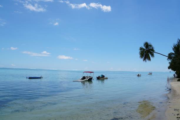 istock Landscape of Moorea Island 2156842596