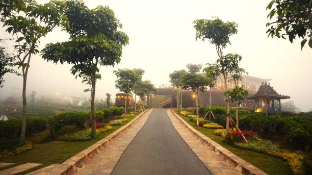 istock the middle road in the park 2156844465