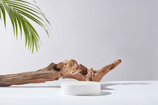 istock The photo of front angle has summer vibe layout on white background, the platform in circular shape displayed in center with a brown log placed in back, green coconut leaf decoration in the corner 2156853728