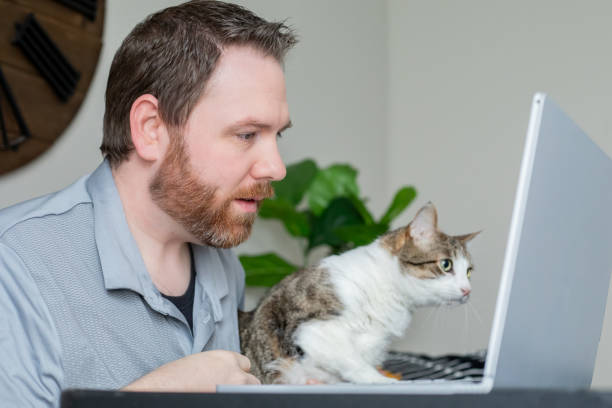 istock Man is working remotely or checking emails on laptop while pet cat gets in the way 2156854859