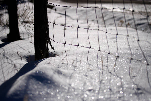 Santa Fe Old Fence and Snow Horizontal closeup black and white photo of two old wooden posts and old-fashioned wire boundary fence with sparkling snow on the ground. Santa Fe, New Mexico. wood and wire fence designs pictures stock pictures, royalty-free photos & images