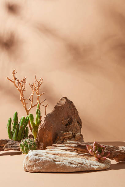 istock A blank large stone pedestal placed on light yellow countertop over the same color background, some cacti and dry tree decorated on stone in back. Photo of front view with empty space for text 2156855438