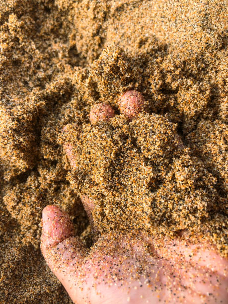 Baby's hand in the sand