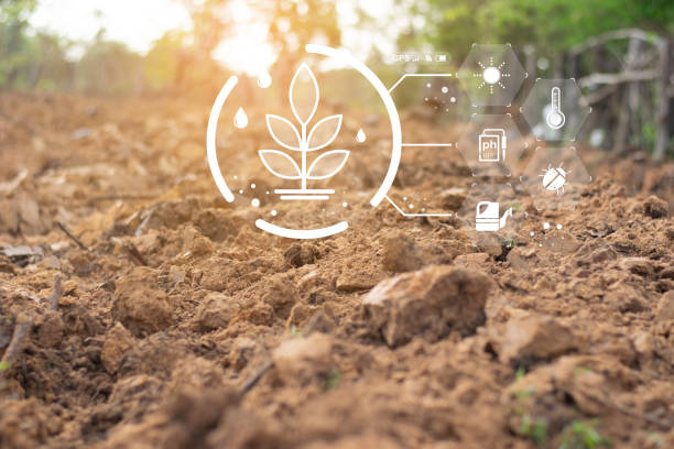 istock Measuring soil conditions for growing plants. Measuring pH in soil. 2156865360