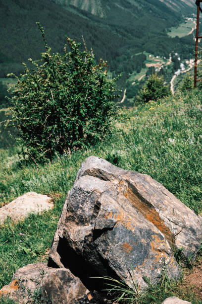 Stone and barberry bush above mountain valley in summer