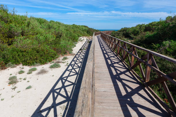 Sand dunes at the Playa de Cortadura in Cádiz, the largest and longest beach of this Andalusian travel destination