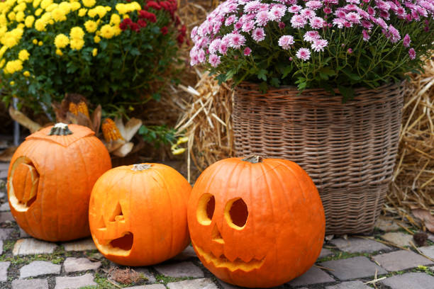 istock Three carved pumpkins with jack-o'-lantern faces placed on a cobblestone ground, surrounded by baskets of colorful chrysanthemums and straw, creating a festive autumn scene 2156872564