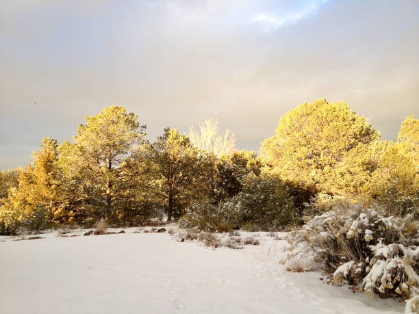 istock Winter Landscape - Santa Fe 2156878756