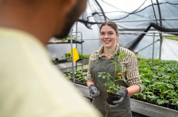 istock Garden Center Teamwork with Young Plants 2156879073
