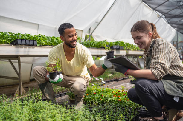 istock Diverse Team of Gardeners Evaluating Plant Growth 2156879090
